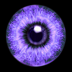 purple eye kromwyrm